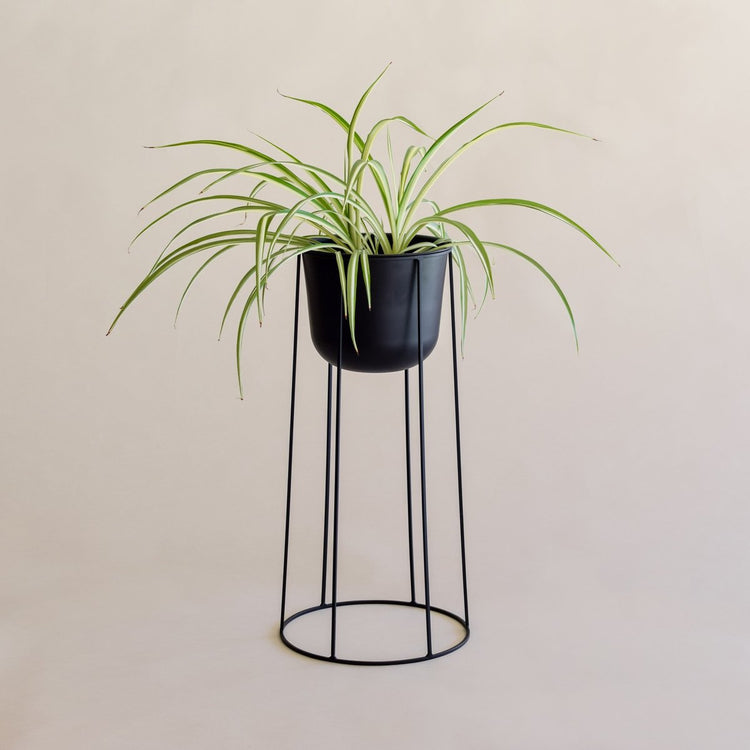 Flowerpot w/ Saucer Large
