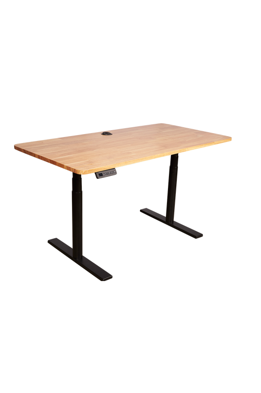 Echelon 30'' x 60'' Sit-Stand Desk Dual motor Commercial Grade butcher block top